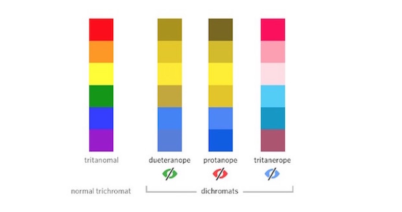 color blindness and email accessibility